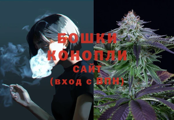 бошки Алзамай