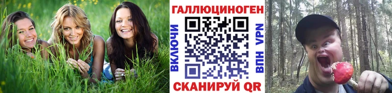 Псилоцибиновые грибы Cubensis Микунь